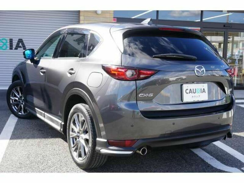 CX-5-6