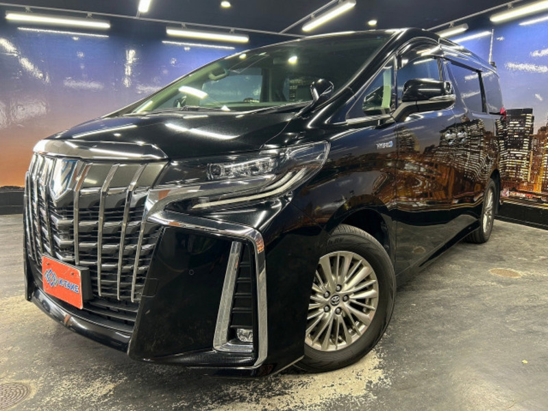 ALPHARD-10