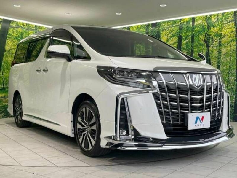 ALPHARD-17