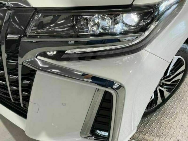 ALPHARD-12