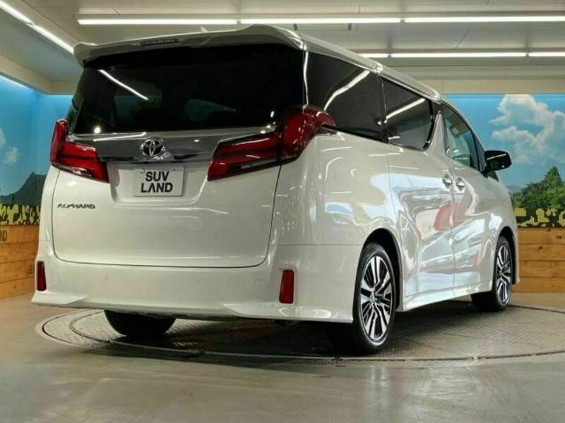 ALPHARD-17