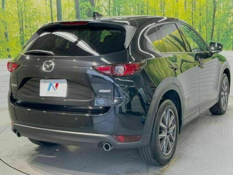 CX-5-17