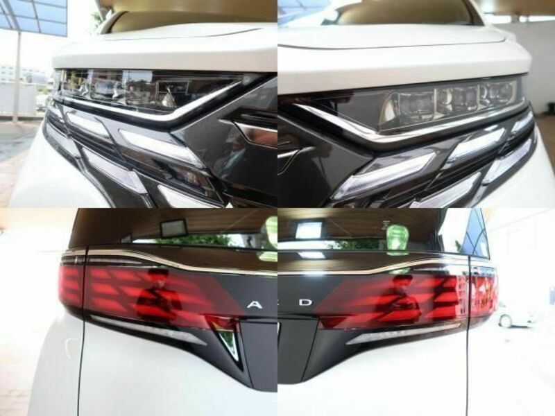 ALPHARD-4