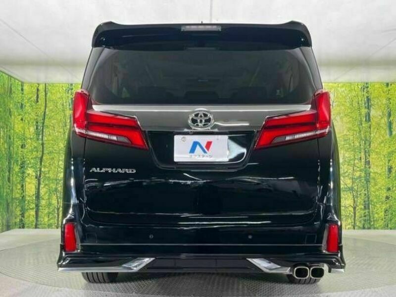 ALPHARD-16