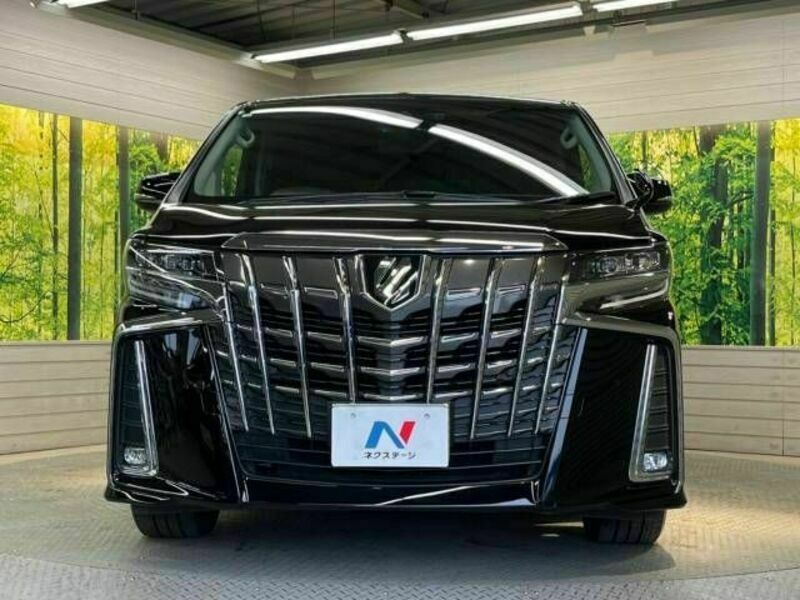 ALPHARD-15