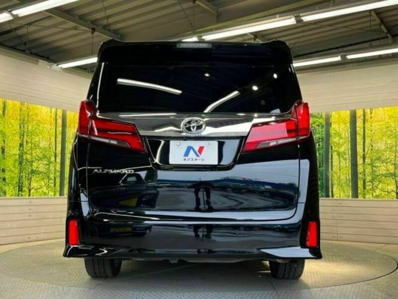 ALPHARD-16