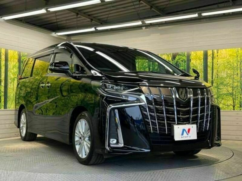 ALPHARD-17