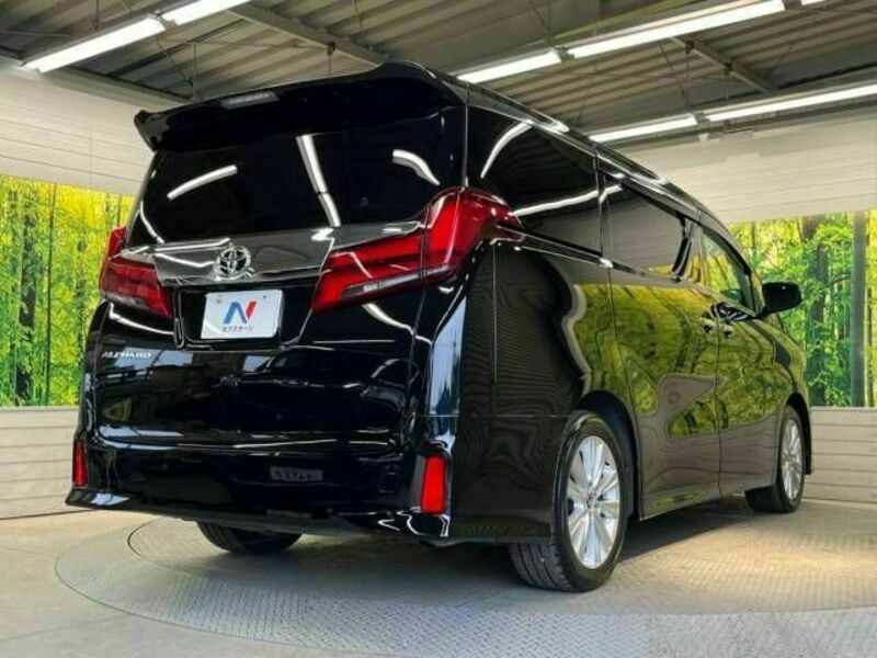 ALPHARD-18