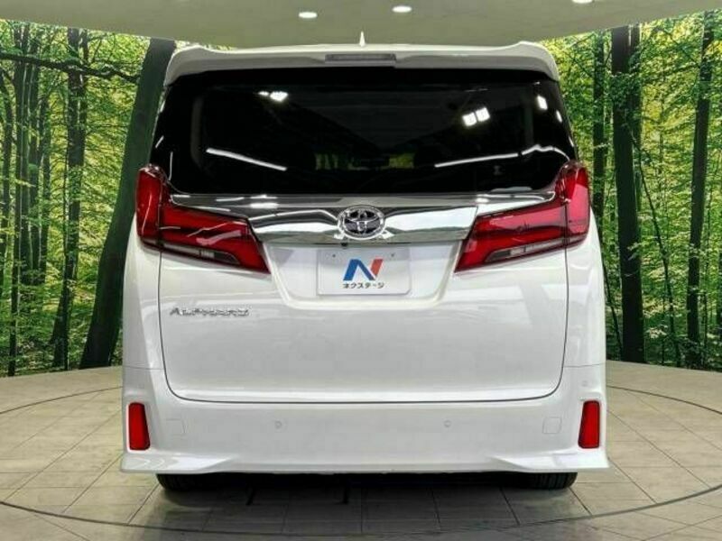 ALPHARD-17