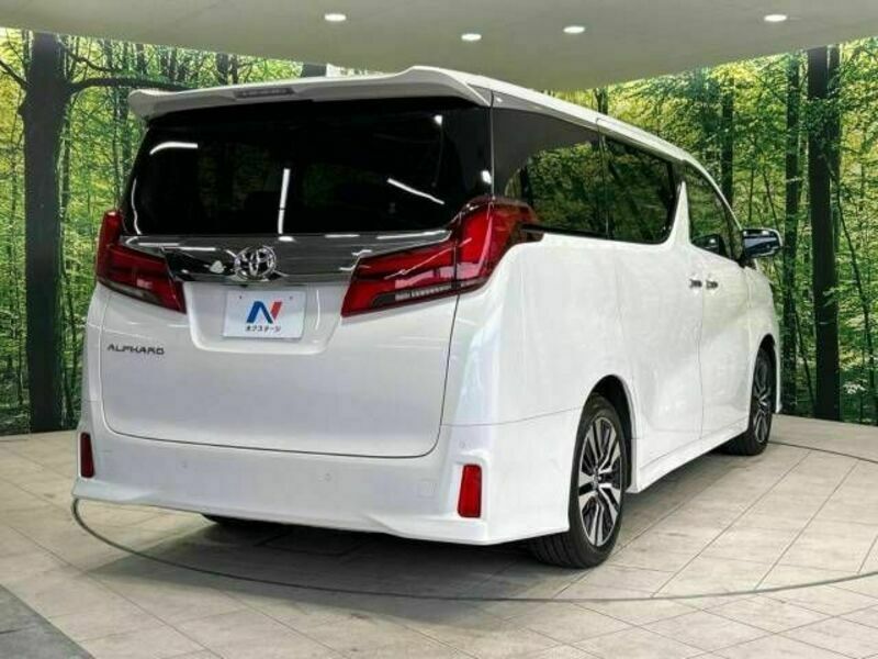 ALPHARD-19