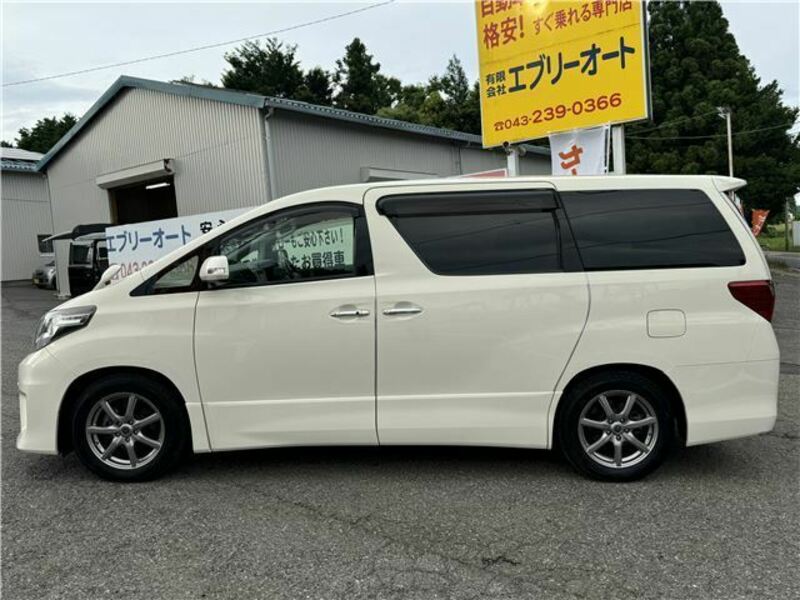 ALPHARD-6