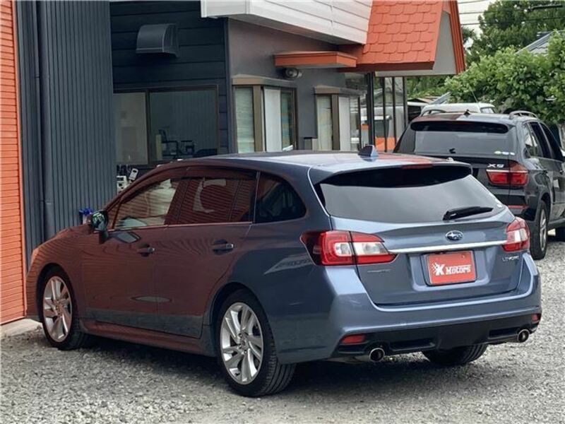 LEVORG-3