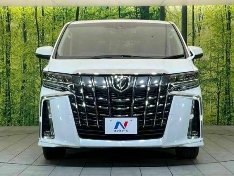 ALPHARD-14