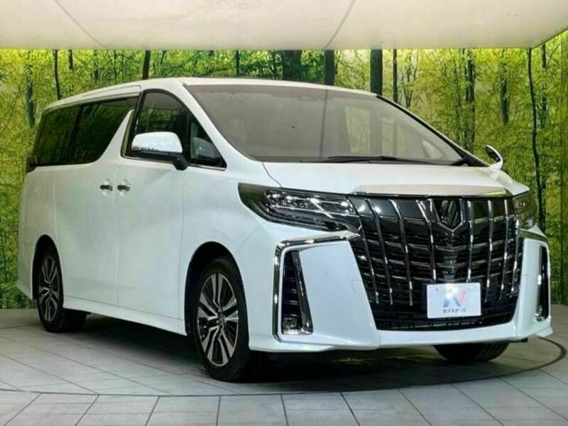 ALPHARD-16