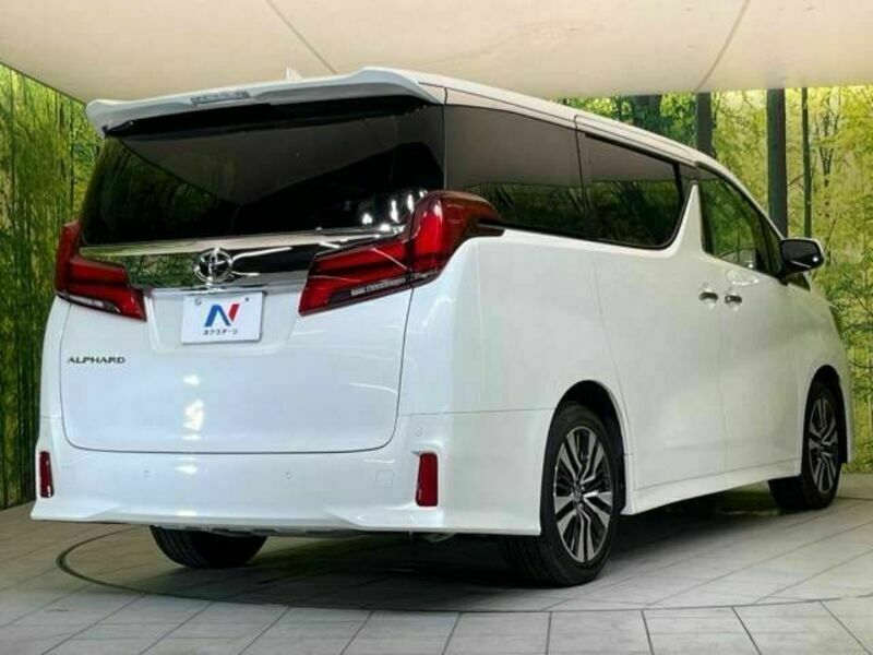 ALPHARD-17