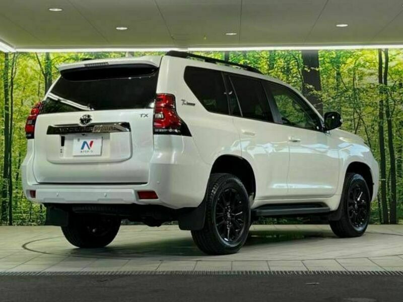 LAND CRUISER PRADO-17