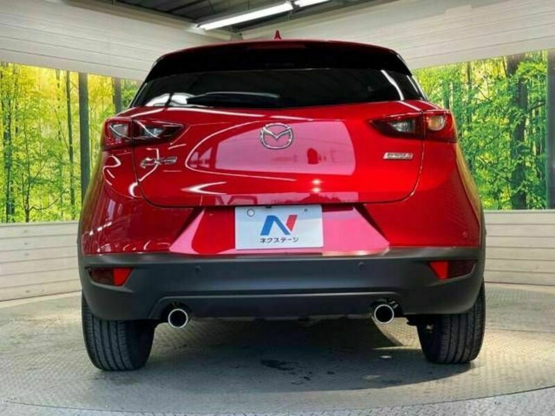 CX-3-15