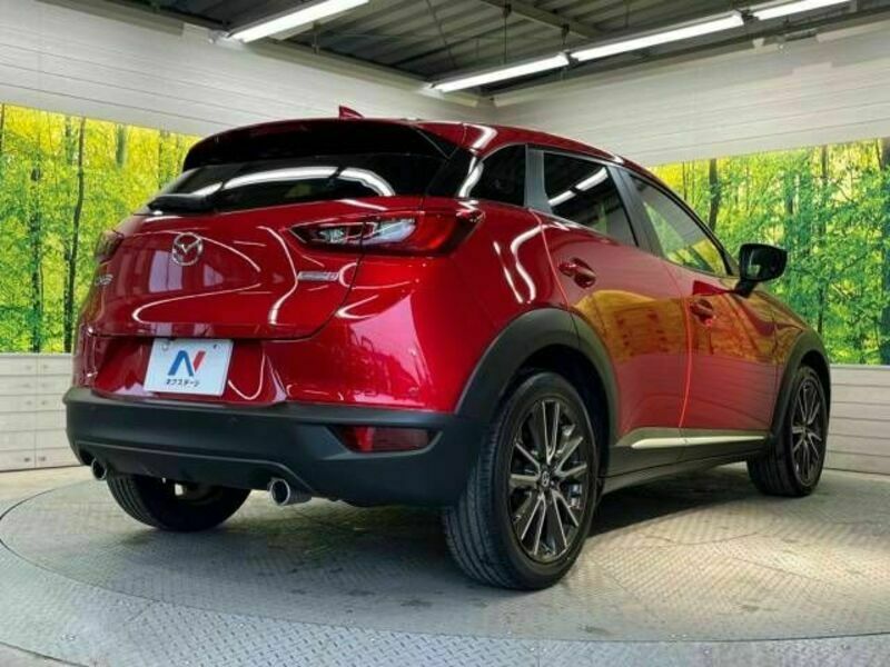 CX-3-17