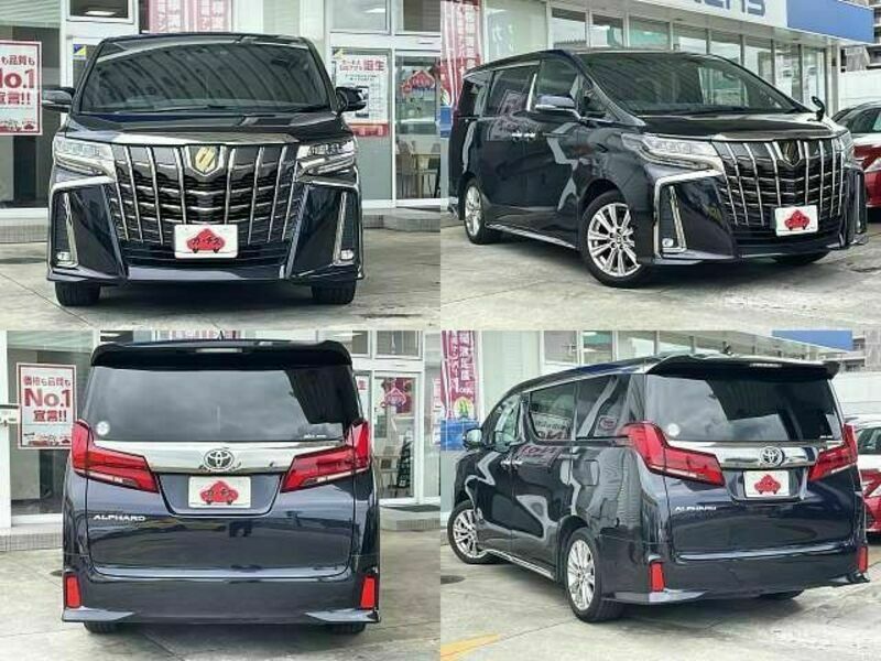 ALPHARD-8