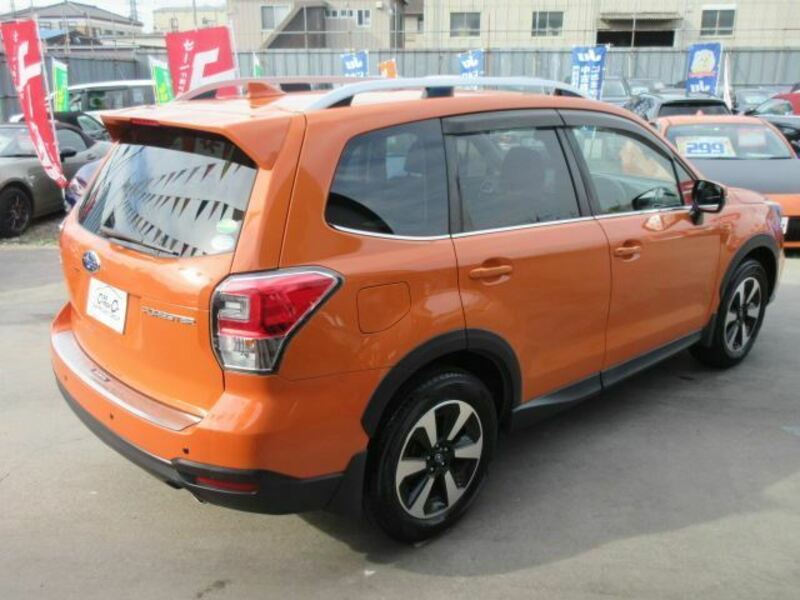 FORESTER-1