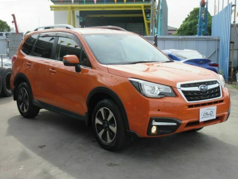 FORESTER-9