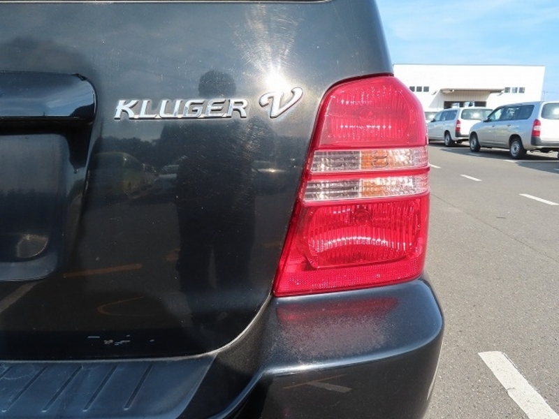 KLUGER V