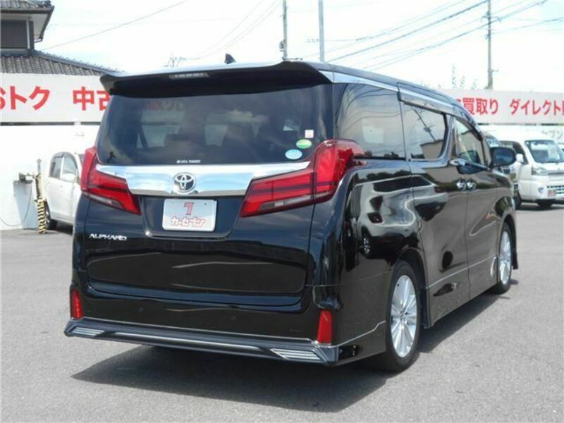 ALPHARD-49