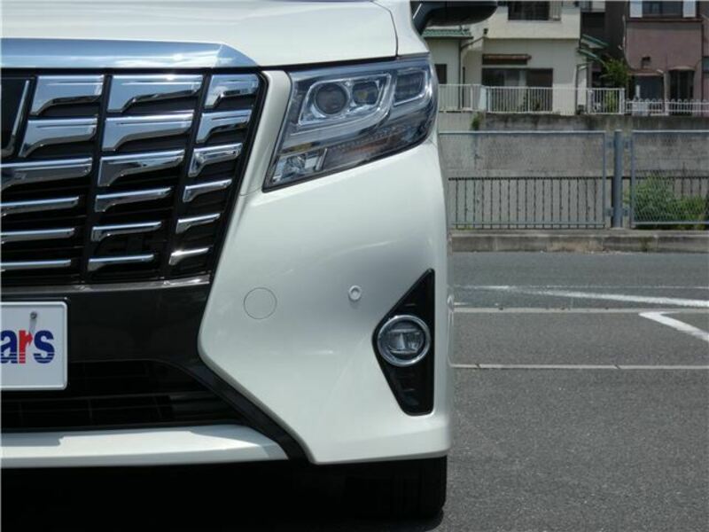 ALPHARD-6