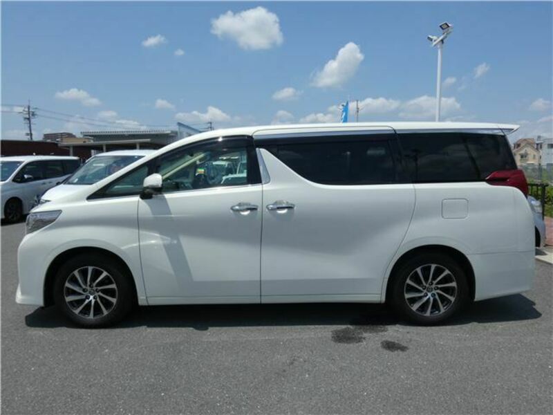 ALPHARD-13