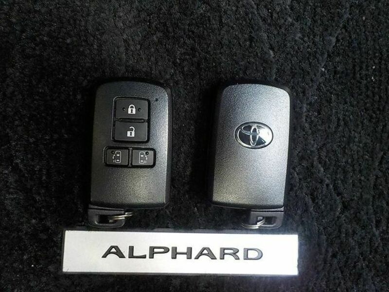 ALPHARD-13