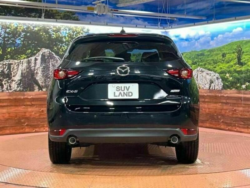 CX-5-15