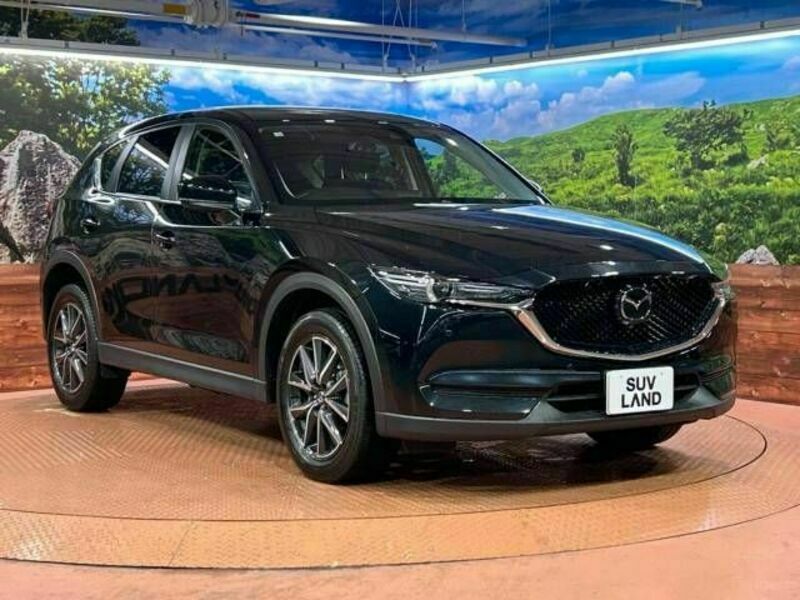 CX-5-16