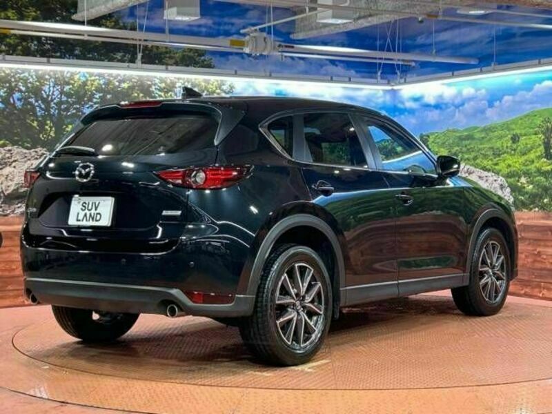 CX-5-17