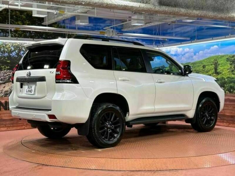 LAND CRUISER PRADO-18