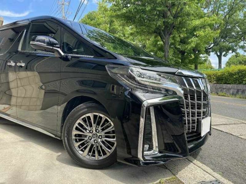 ALPHARD-6