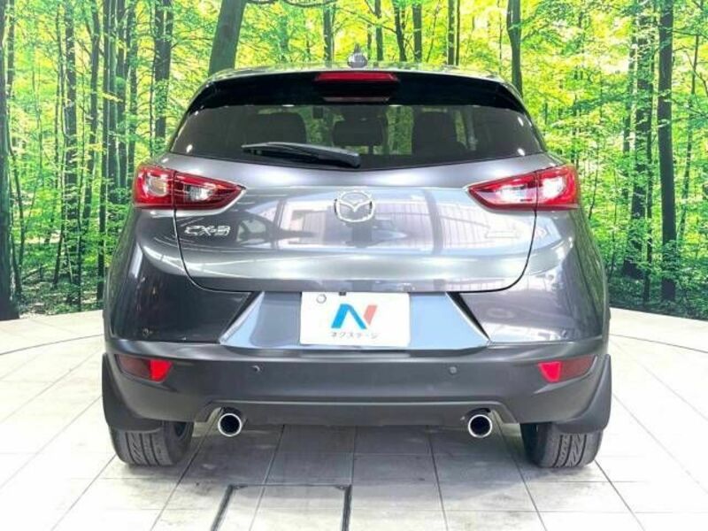 CX-3-15