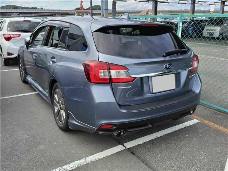 LEVORG-1