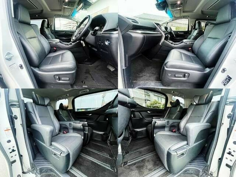 ALPHARD-6