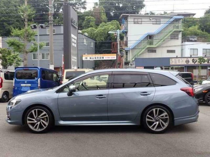 LEVORG-19