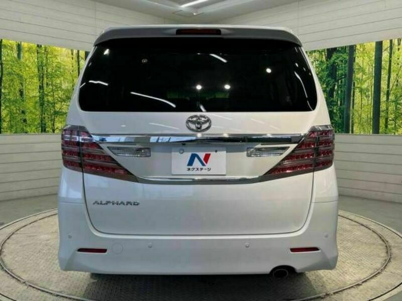 ALPHARD-16