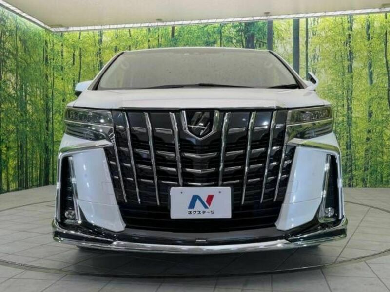 ALPHARD-15