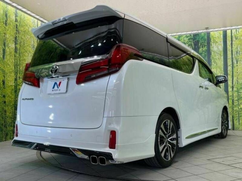 ALPHARD-18