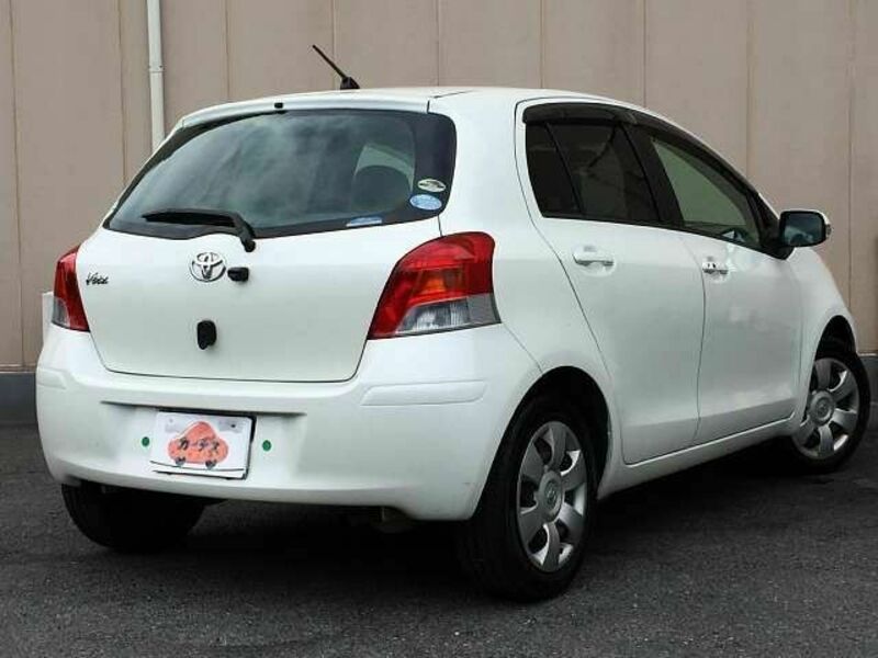 VITZ-2