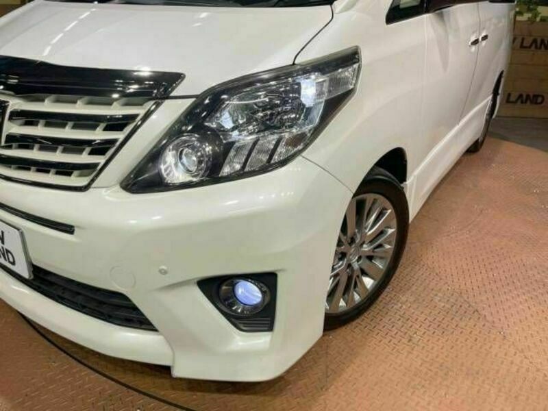 ALPHARD-14