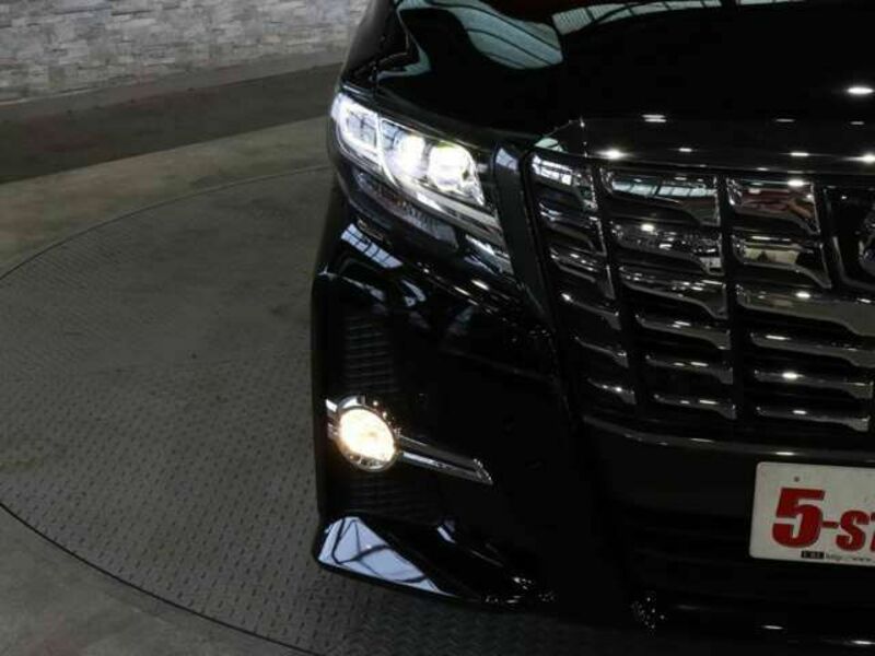 ALPHARD-13