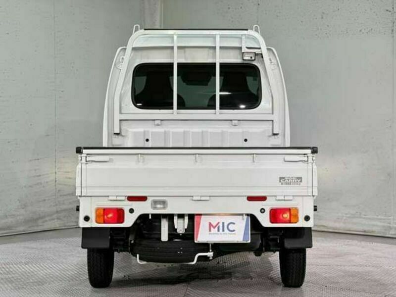 CARRY TRUCK-6