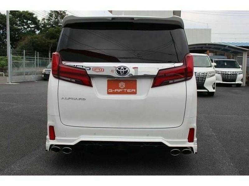 ALPHARD-8