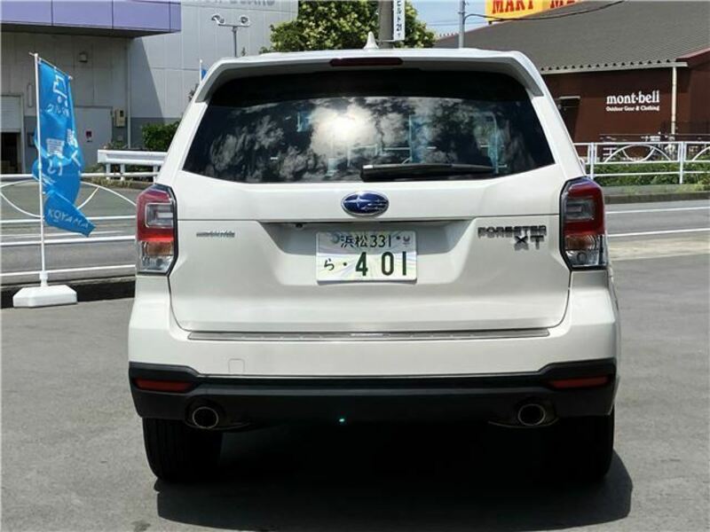 FORESTER-1