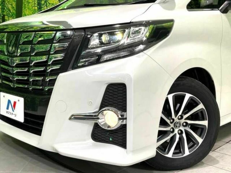 ALPHARD-15