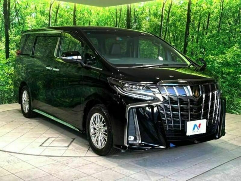 ALPHARD-17